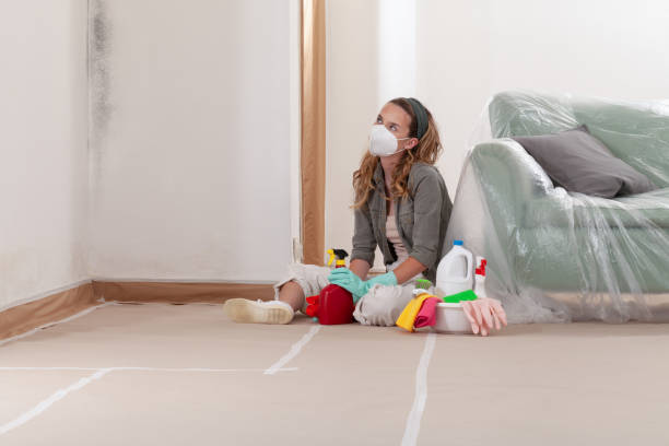 Reliable Commercial Mold Remediation contractor in Easton, MD by WQB Mold Removal